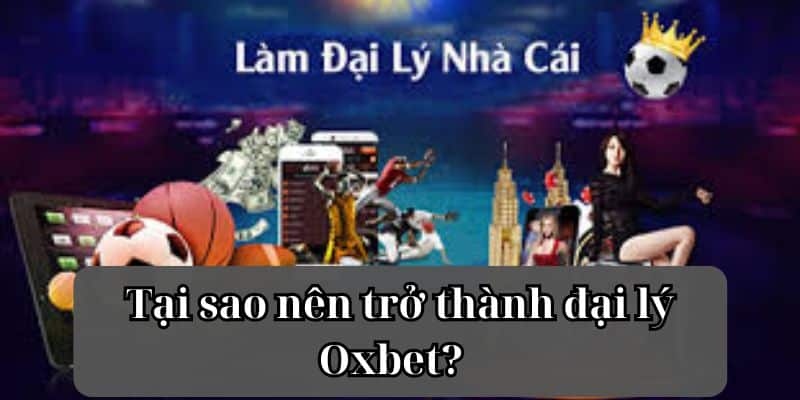 Tại sao nên trở thành đại lý Oxbet?  