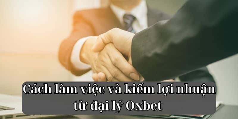 Cách làm việc và kiếm lợi nhuận từ đại lý Oxbet 