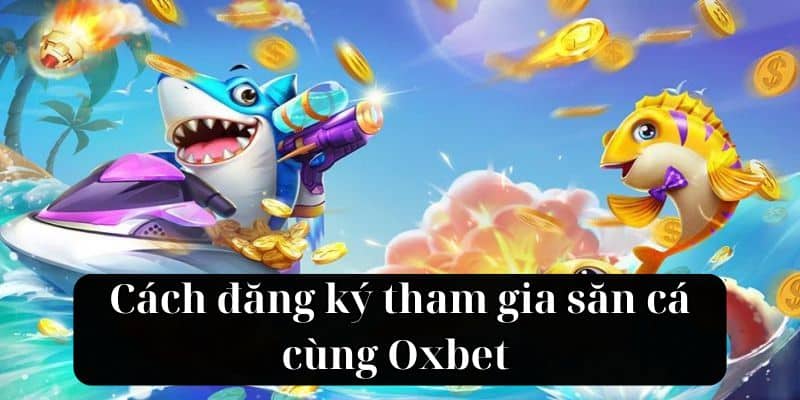 Cách đăng ký tham gia săn cá cùng Oxbet  