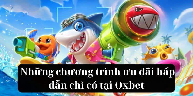 Những chương trình ưu đãi hấp dẫn chỉ có tại Oxbet 